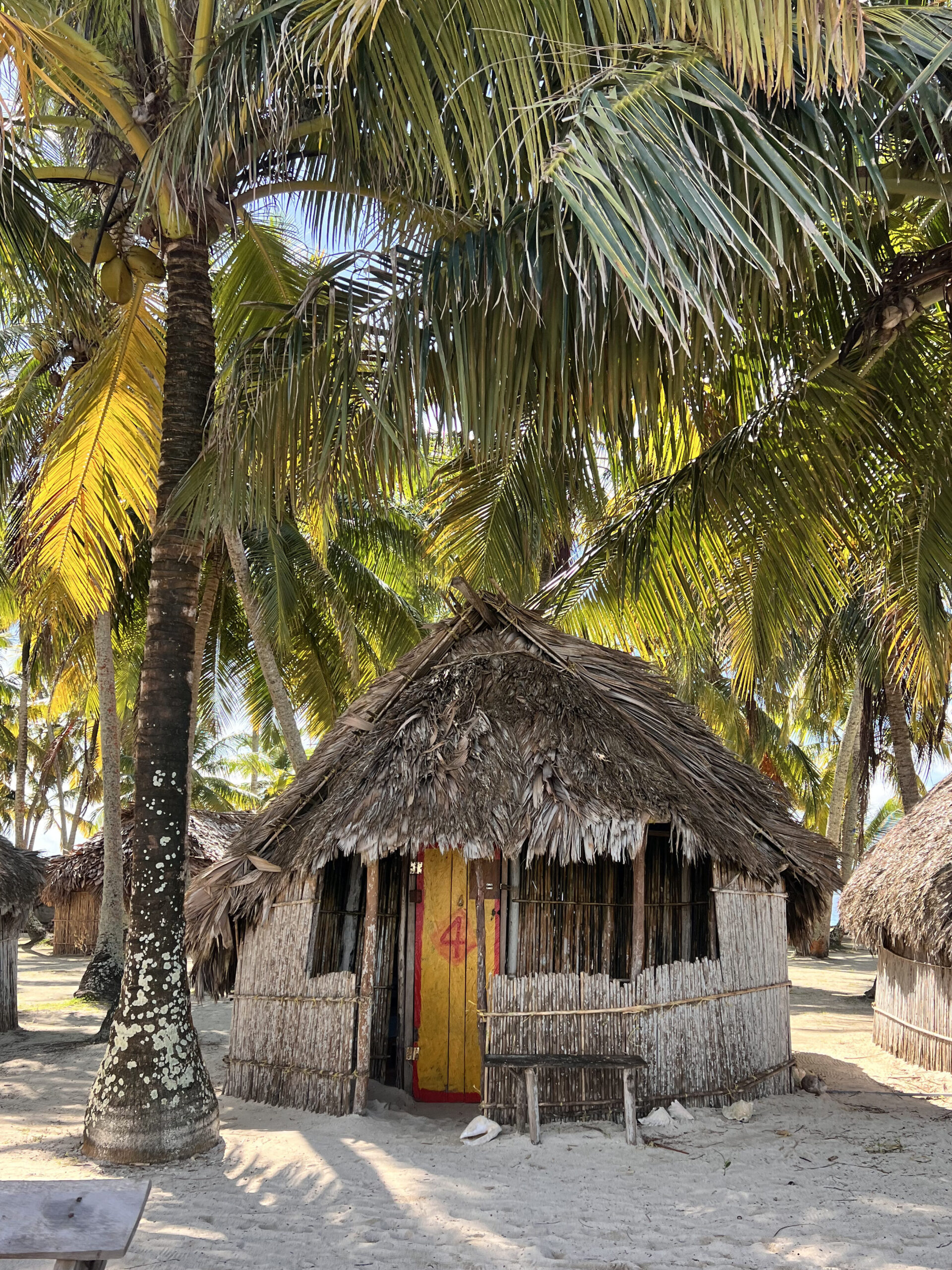 Service-2-min img 9662